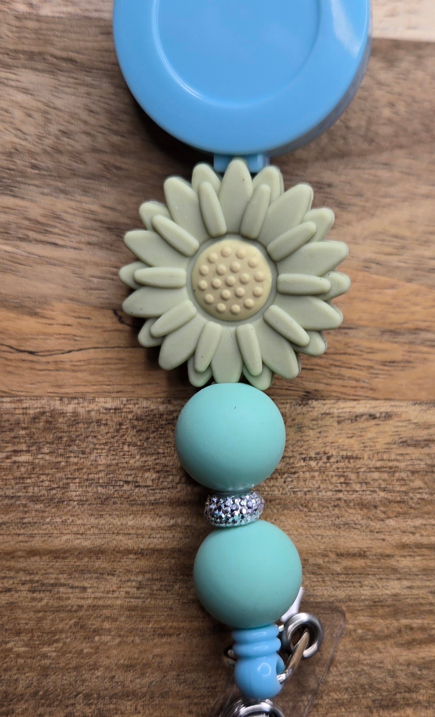 Colorful Daisies