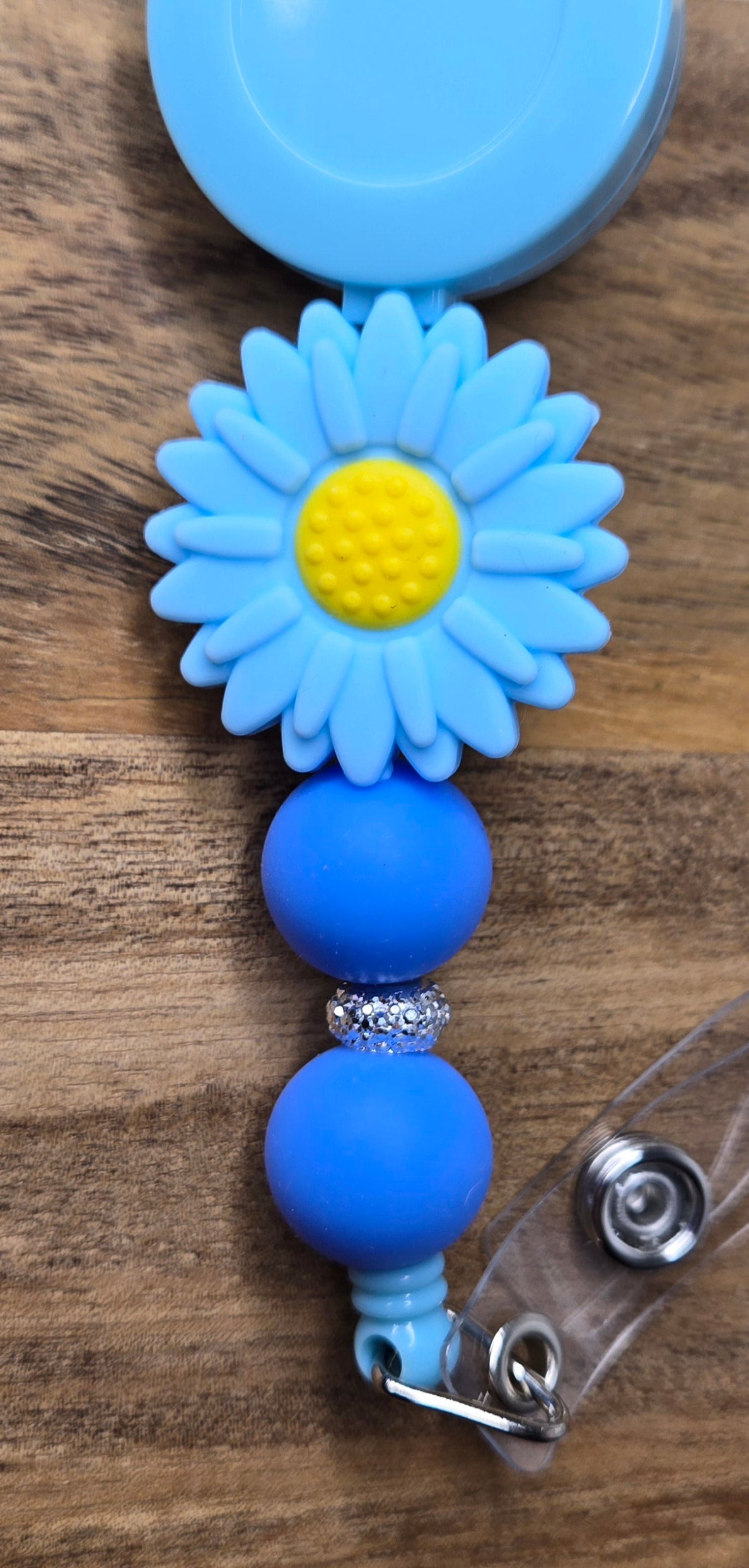 Colorful Daisies